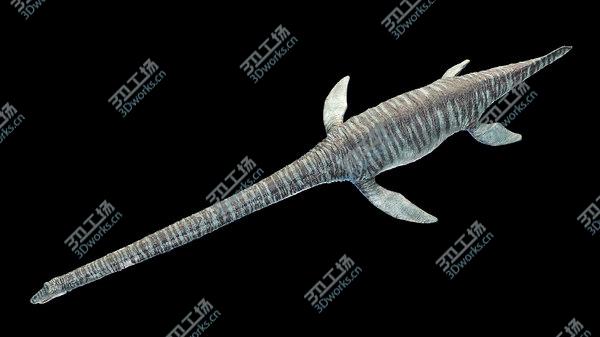 images/goods_img/20210312/3D Elasmosaurus/5.jpg